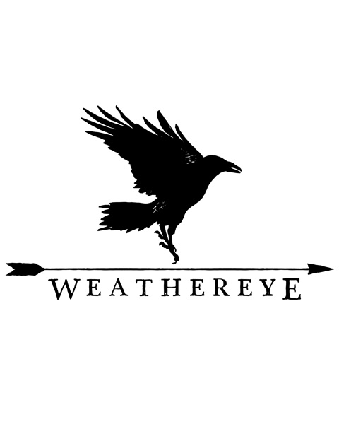 Weathereye_LOGO_Black_HR
